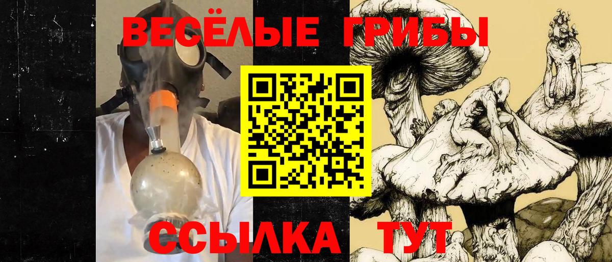 Галлюциногенные грибы Cubensis  Вход с VPN  Озёры  Галлюциногенные грибы Psilocybe 